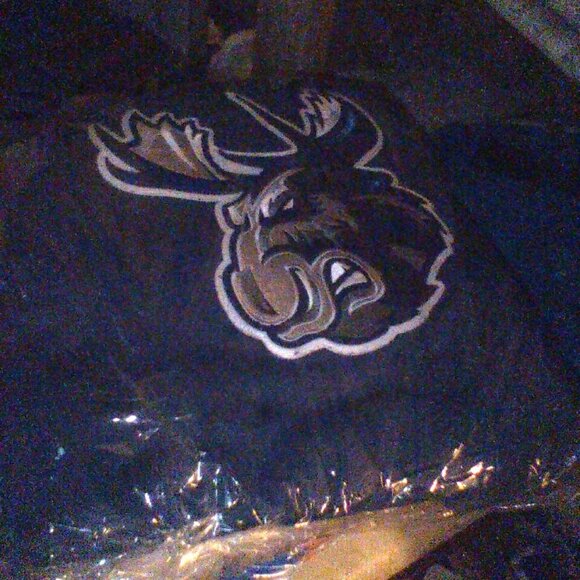 NHL, AHL, WHL, BUNDLE !!!!! - Picture 11 of 16